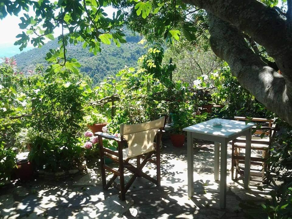 Villa Panayiota Alonnisos Town Exterior photo