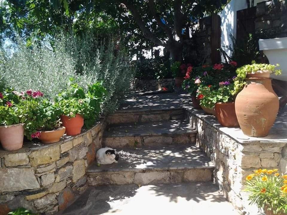 Villa Panayiota Alonnisos Town Exterior photo