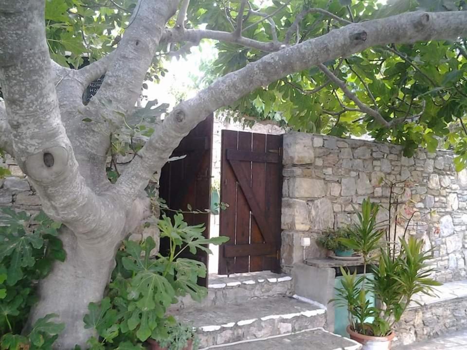 Villa Panayiota Alonnisos Town Exterior photo